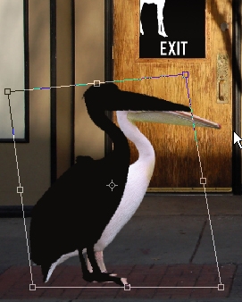 Creation of The Zoo!: Step 7